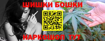 прущие грибы Лесосибирск