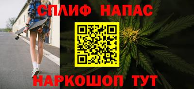 прущие грибы Лесосибирск