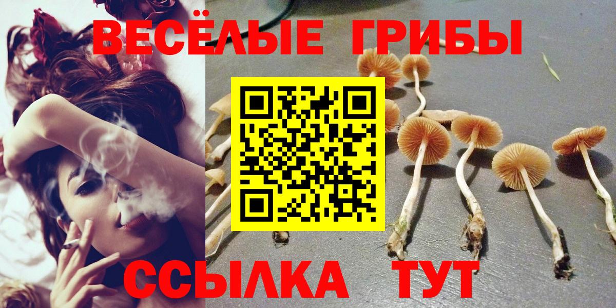 Химки  Галлюциногенные грибы Psilocybine cubensis  Вход с VPN 